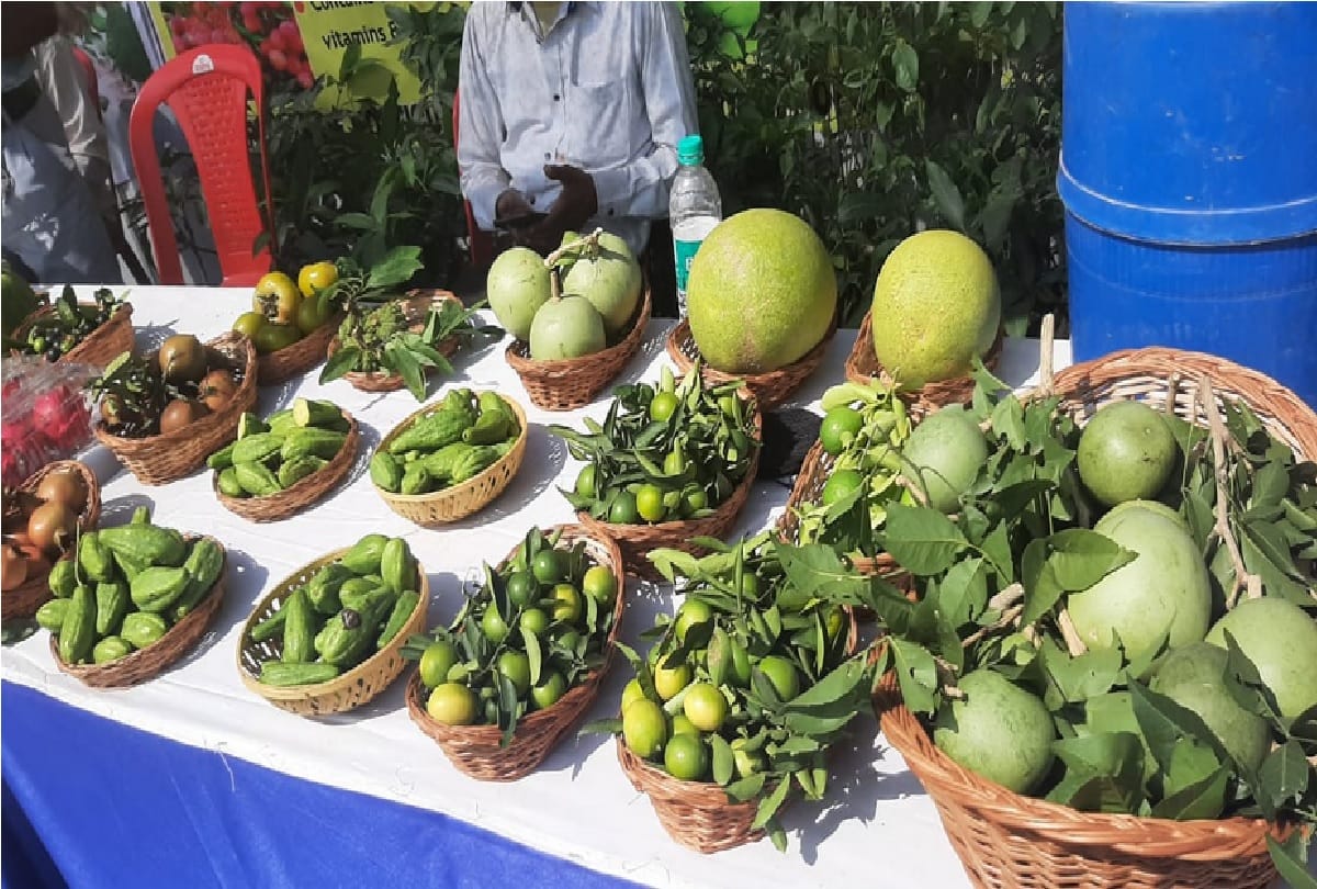 Jammu-Kashmir: Agriculture fair begins with colorful presentations in Skaust Jammu, exhibition of products from every corner of the state