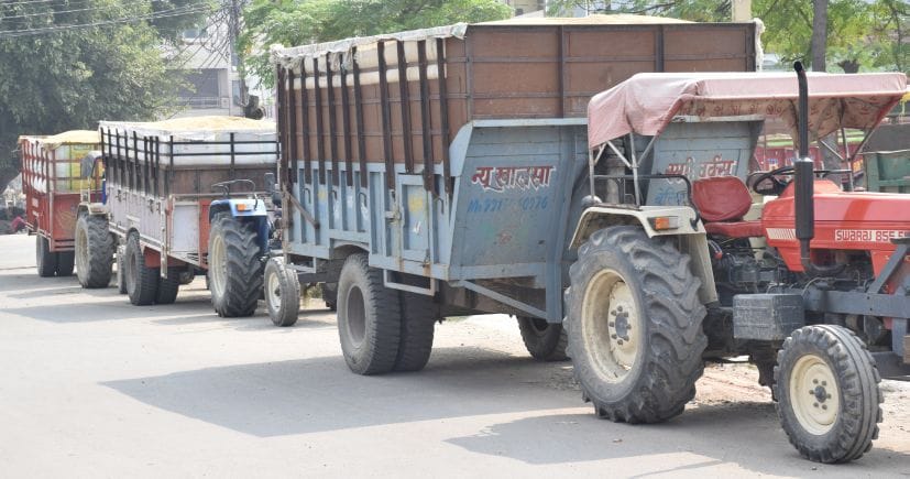 Seven thousand quintals of paddy sold at less than MSP in Rudrapur