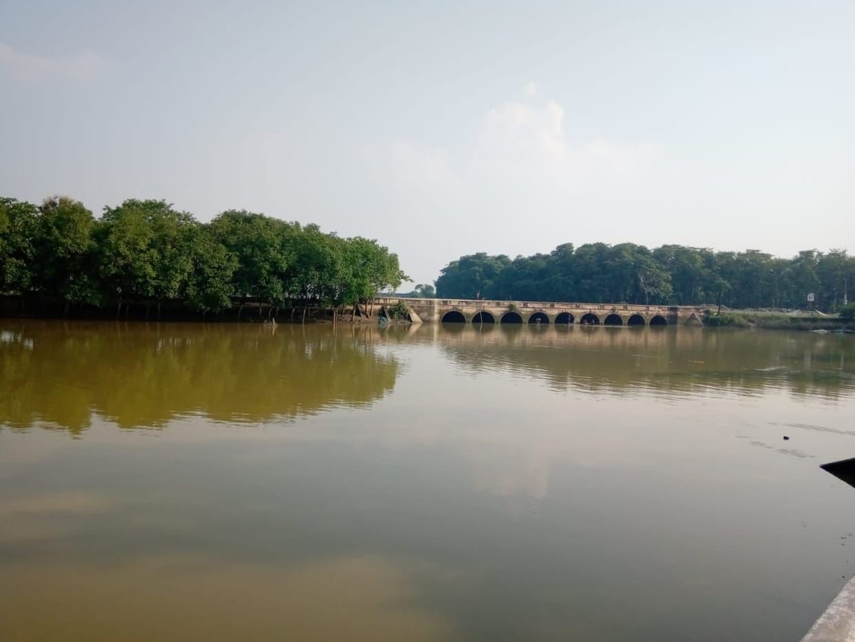 problem of aami river