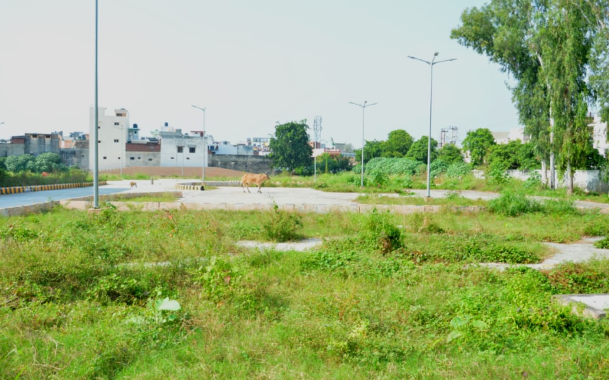 Grass on the track of five crores, driving tests are being taken on the road, not a single vehicle was tested in a year