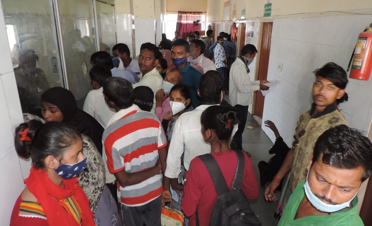 22 dengue patients found in ELISA test