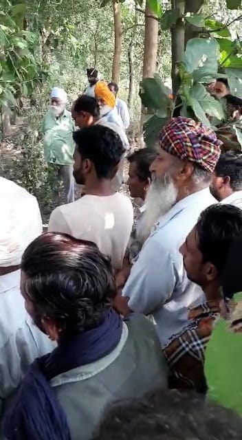 Dead body of young man found hanging on tree, fear of murder, Yamunanagar