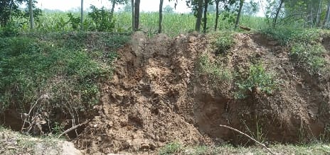 Elephants bridged the ditch dug to enter the village