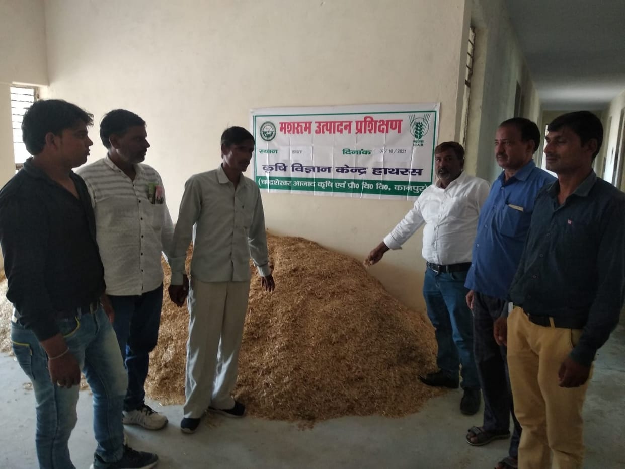Hathras: Learning of nutrition and self-employment from mushroom production given to farmers