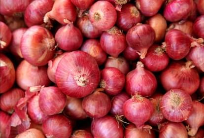Delhi Onion Price Onions will be sold for Rs 25 per kg in Delhi know where and how to buy