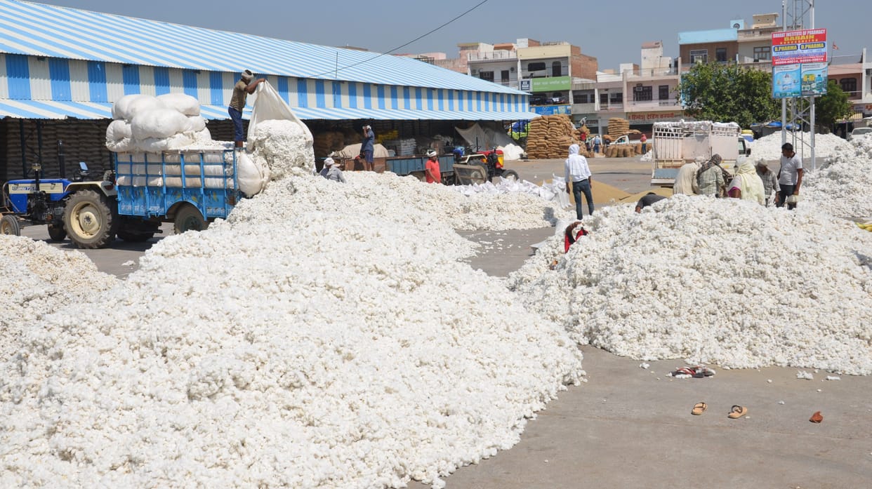 Neither the address of millet nor any information about the purchase of moong, officials in confusion, farmers in dilemma