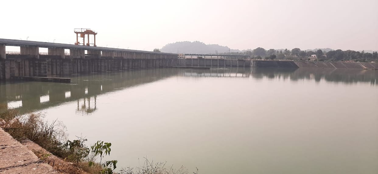 Foreign birds are coming, Hathnikund barrage will be buzzing
