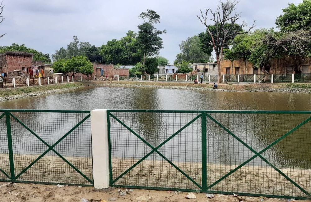 shefral pond gives pure air to people