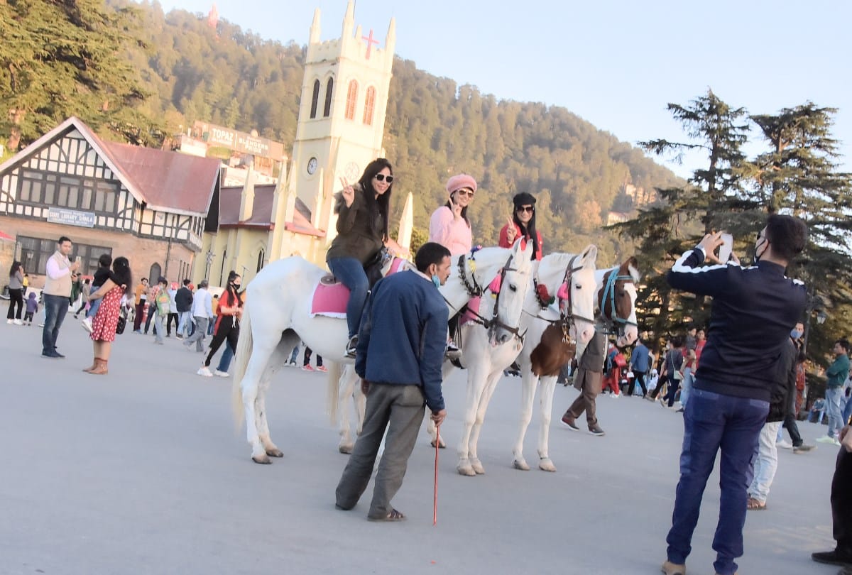 himachal news:  tourist inflow increased in shimla Kufri narkanda and mashobra at weekend