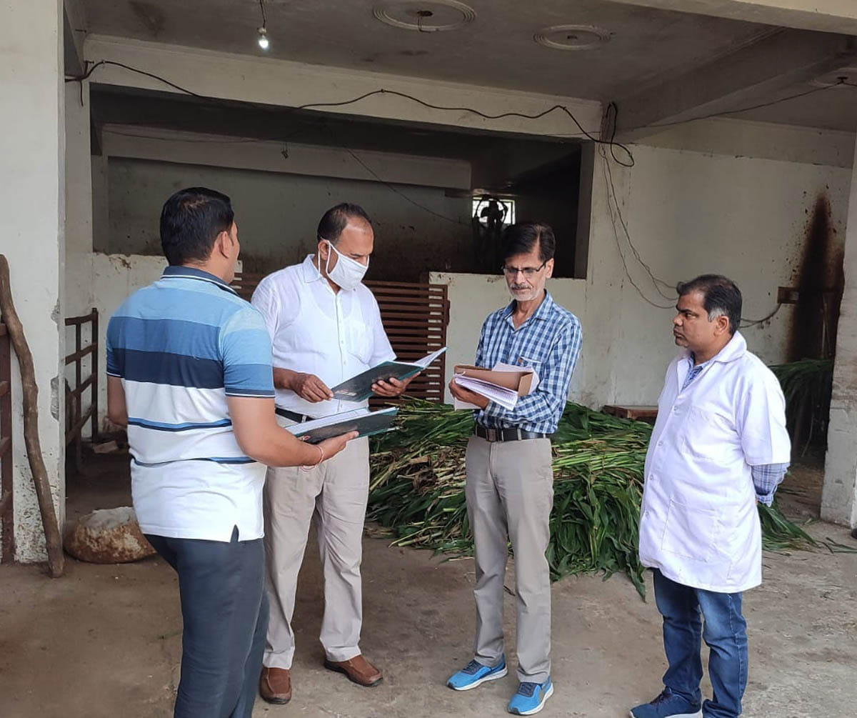 Make proper arrangements for protection from winter in Gaushala