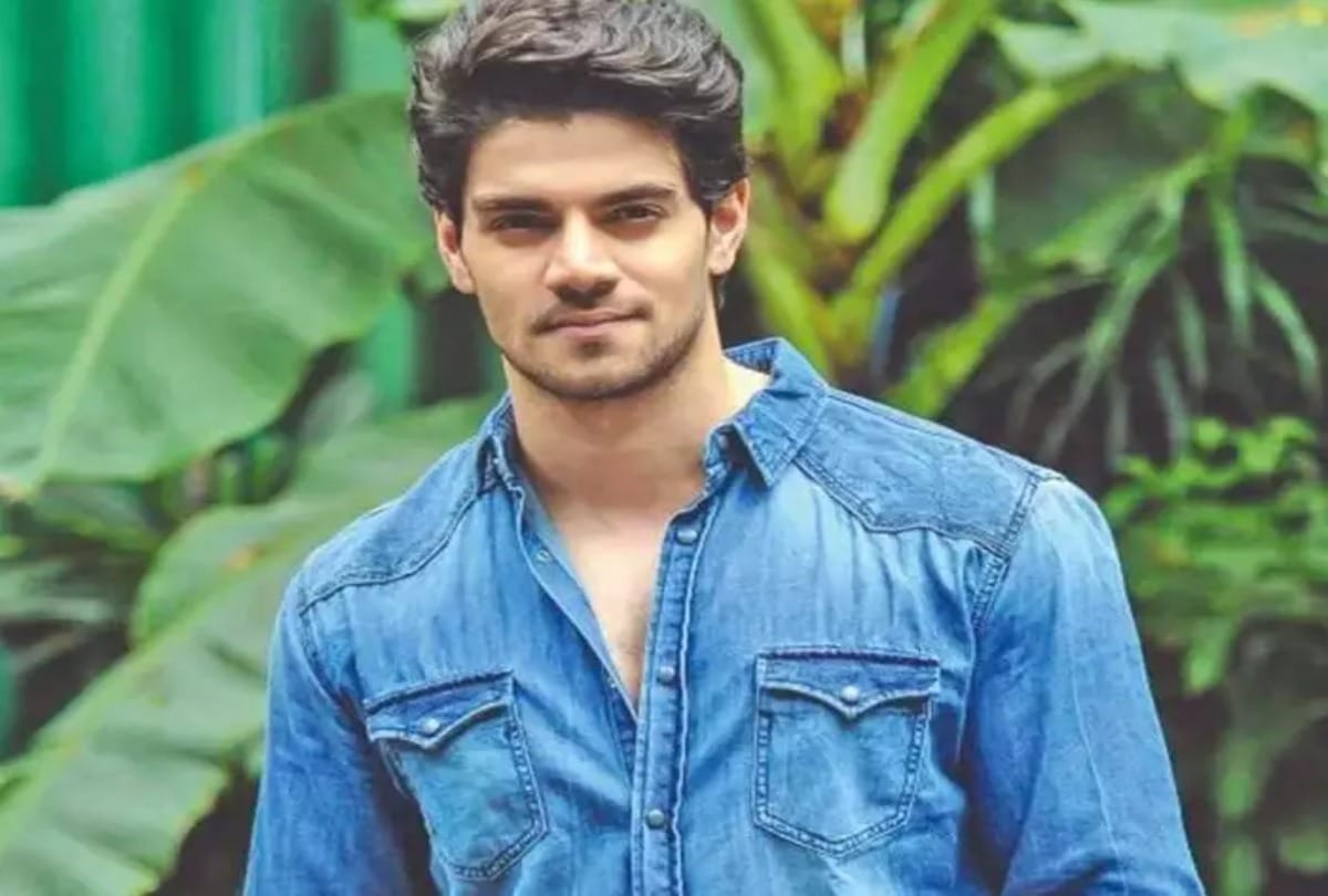 antim box office collection ayush sharma Bollywood Stars who were launched by Salman Khan