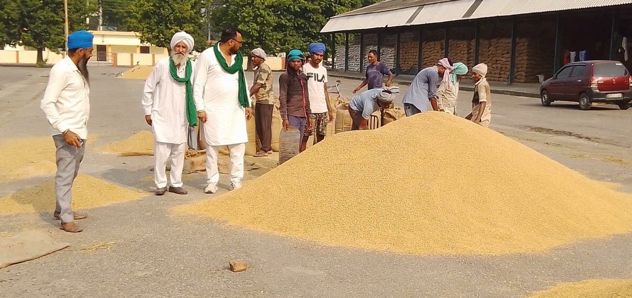agricultural