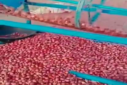 onion cleaning by machine after watching desi jugad you will be shocked