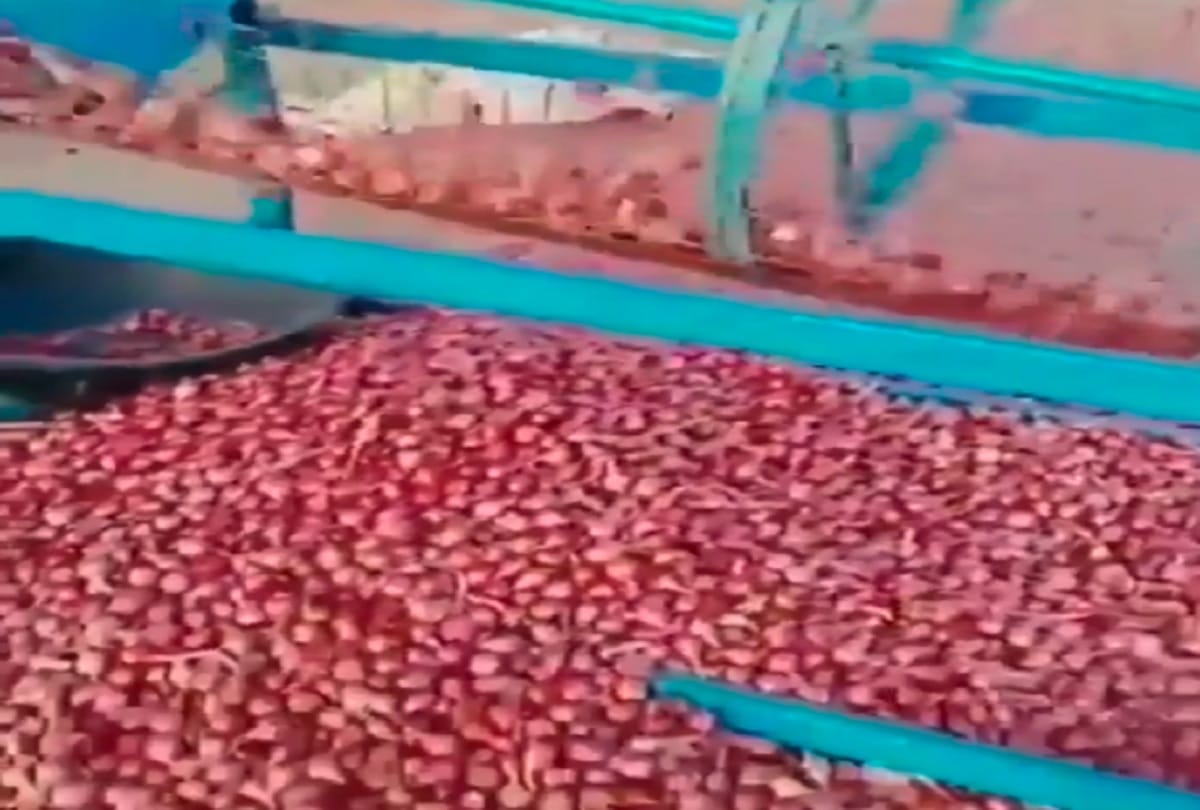 onion cleaning by machine after watching desi jugad you will be shocked