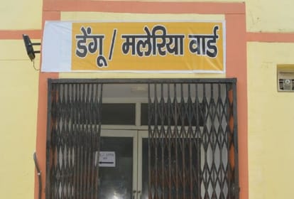 42 patients of malaria reported in meerganj bareilly