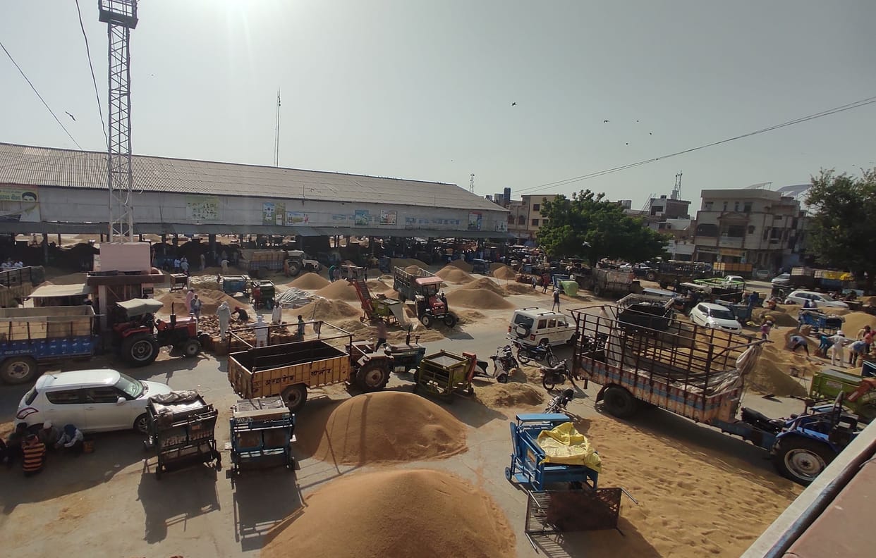 15 thousand quintals of paddy reached the market, only two and a half thousand were purchased