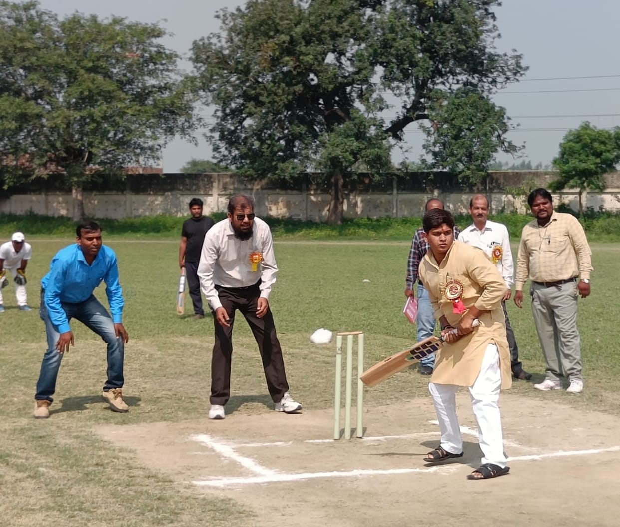 cricket