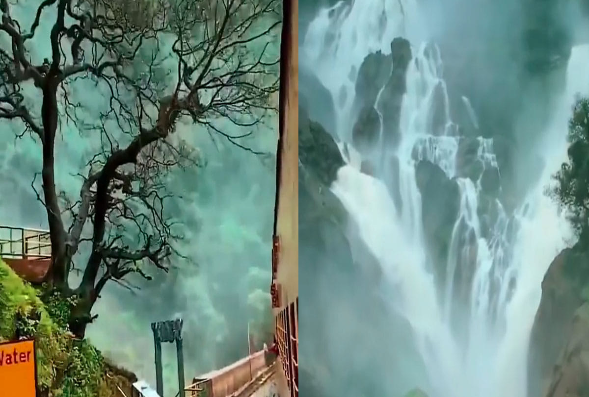 dudhsagar waterfall wonderful view was seen by indian railway video is going viral on social media