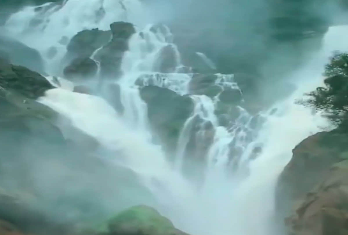dudhsagar waterfall wonderful view was seen by indian railway video is going viral on social media