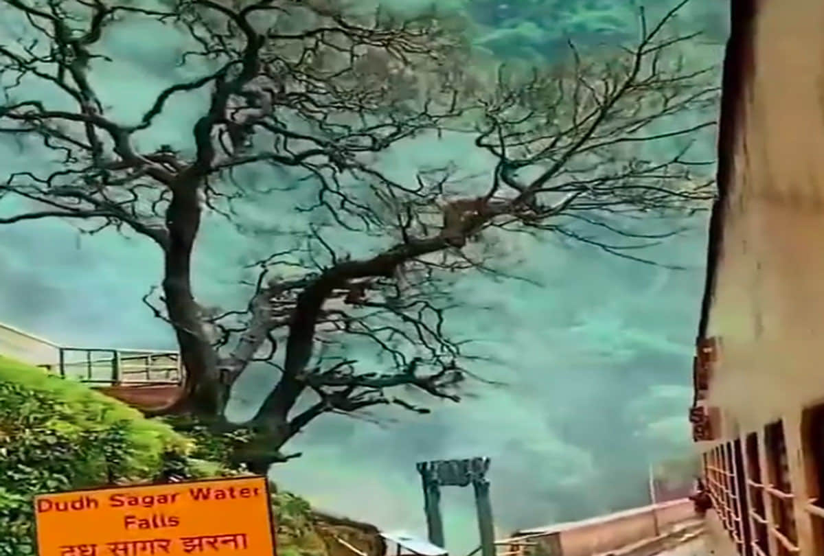 dudhsagar waterfall wonderful view was seen by indian railway video is going viral on social media
