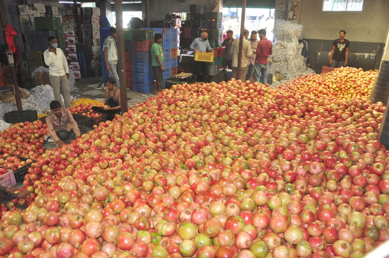 Apple inflow decreased in fruit markets of Kullu district
