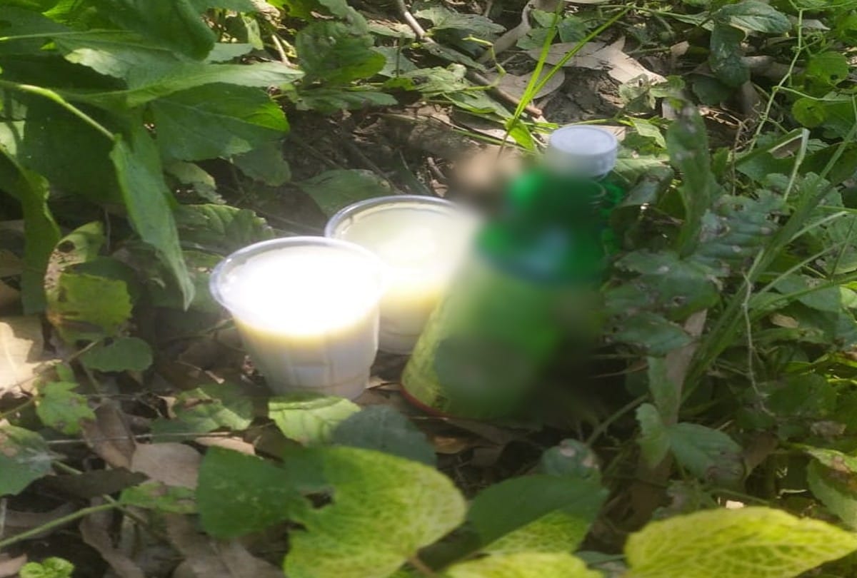 boyfriend girlfriend tried to suicide by drinking poison in kasganj