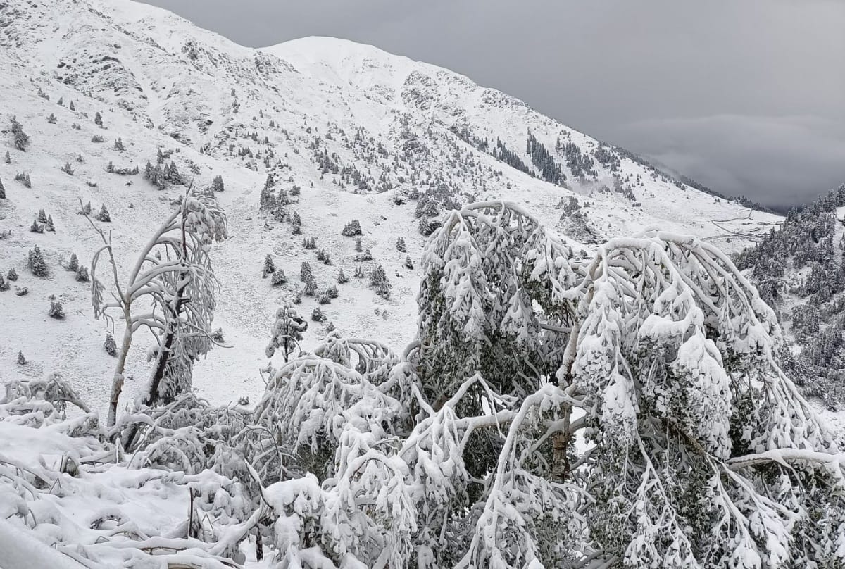 Alert: Warning of heavy rain and snowfall in Jammu and Kashmir and Ladakh