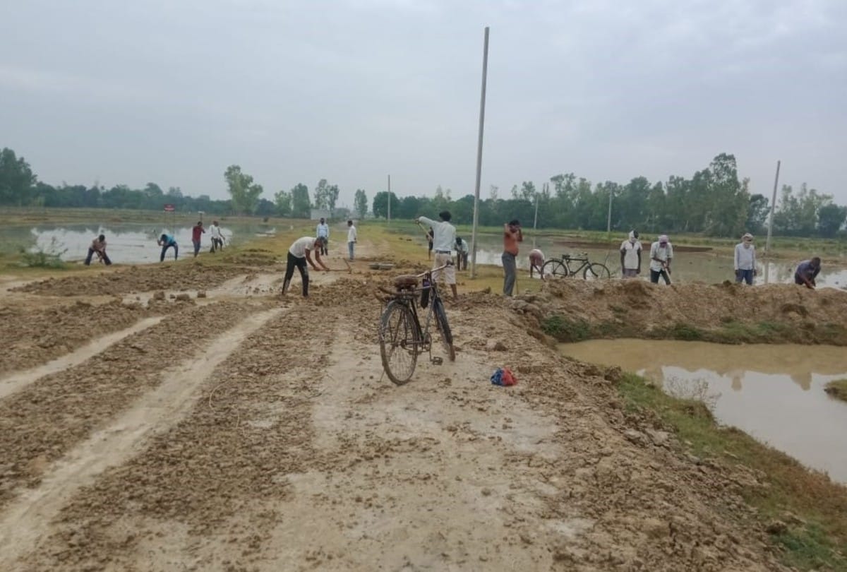 UP Manrega Rojgar Sevak 2021 payment of employment servants working in Mahatma gandhi NREGA will be increased, know how much their salary will be now Safalta