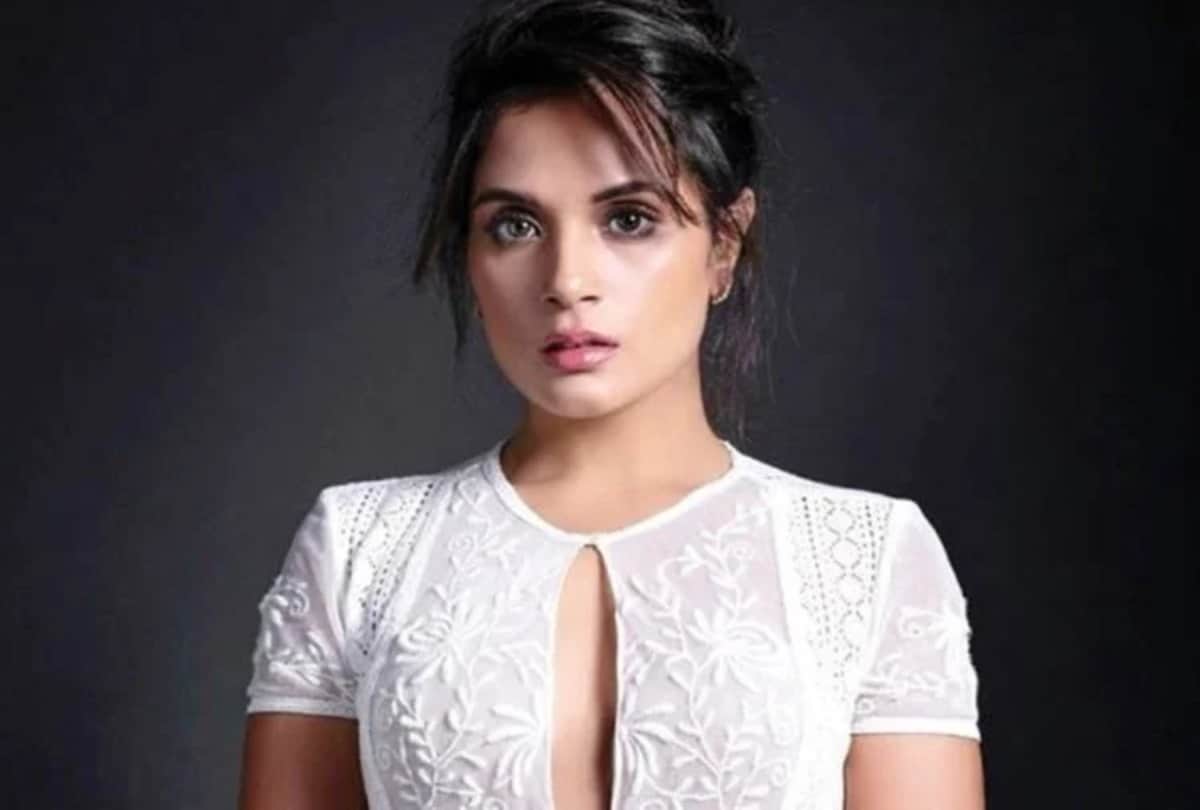Social media: Richa Chadha reaction on Twitter user who said her marriage wont last long just like Aamir Khan