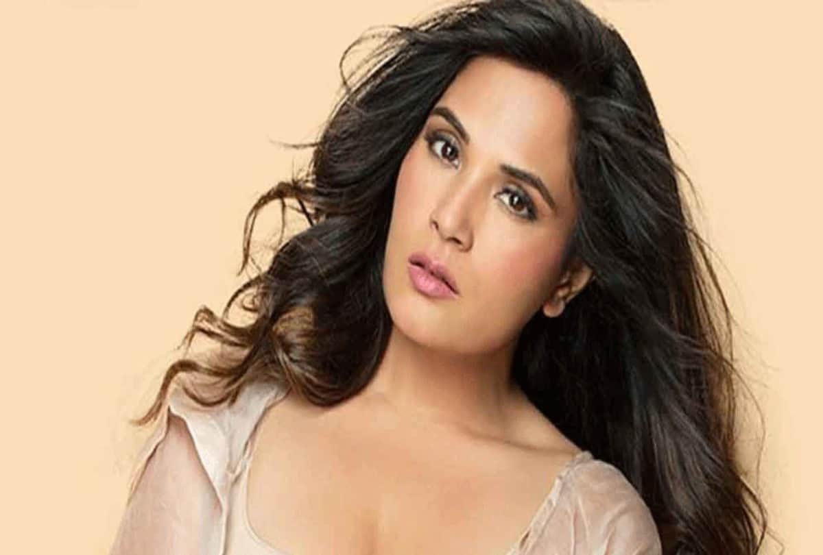 Social media: Richa Chadha reaction on Twitter user who said her marriage wont last long just like Aamir Khan