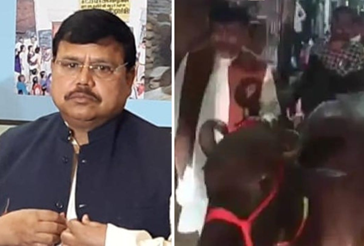 Electricity crisis in Madhya Pradesh energy minister roaming with buffaloes   