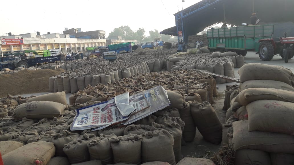 There is no place to store paddy left in the mandis, have to wait, Yamunanagar