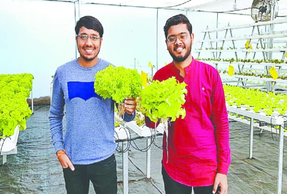 Uttarakhand News: Youth Doing hydroponic farming As career