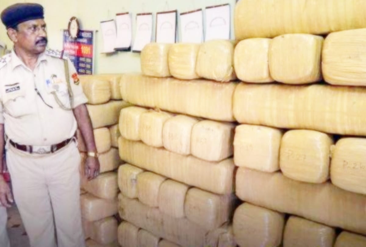 Delhi 661 kg ganja seized by narcotics department worth rupees one crore