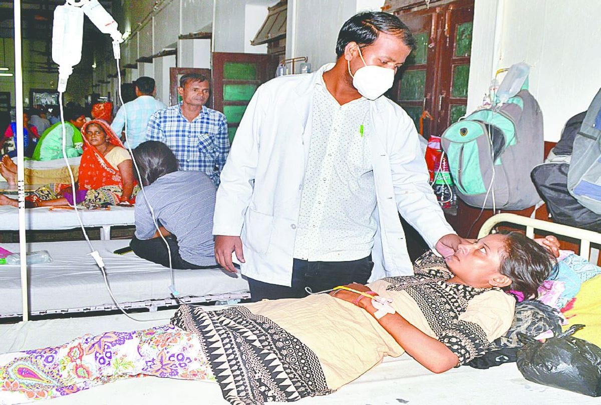 nine new patients of dengue admitted to SN Medical College in agra