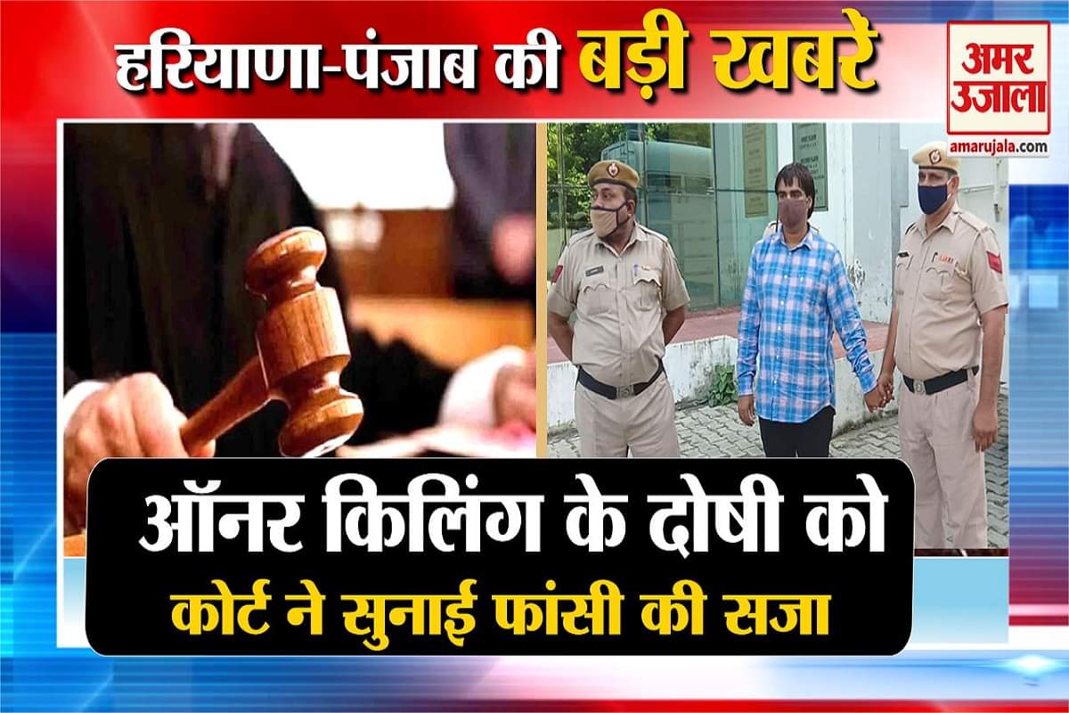 हरियाणा न्यूज