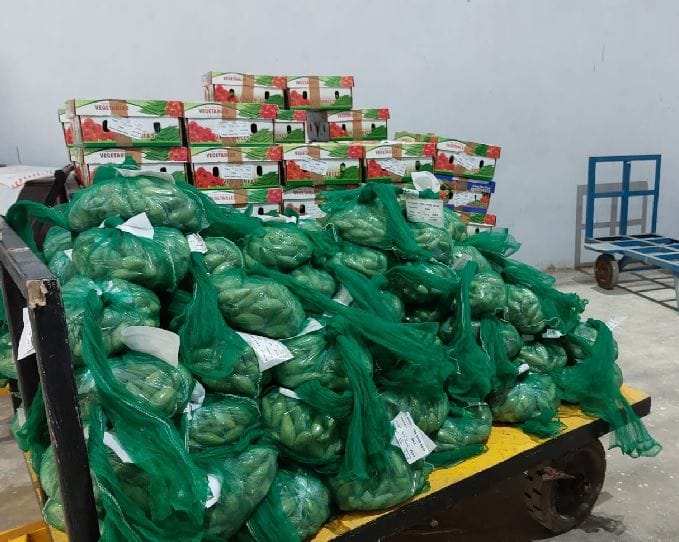 Sooran of Ballia and Parwal of Banaras will make a mark in UAE markets Bhadohi exporter sent 20 quintals of green vegetables
