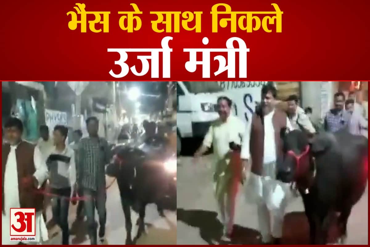 भैंस के साथ निकले उर्जा मंत्री