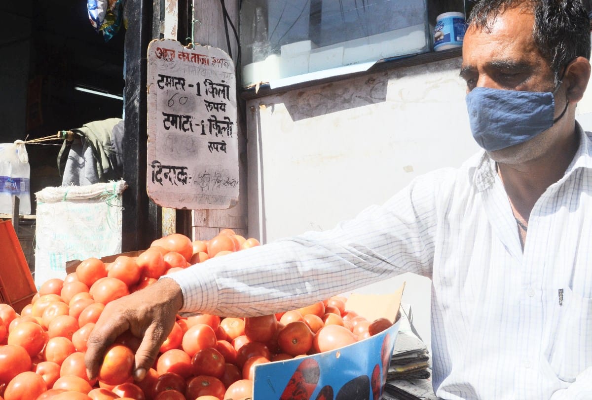 Himachal News: tomato price hike in shimla himachal pradesh tomato sixty rupee per kg in shimla