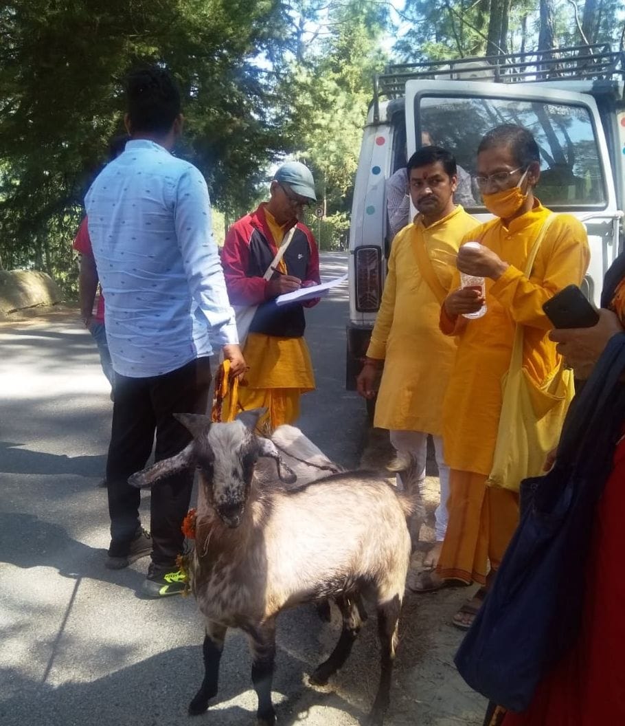 Gayatri Parivar is eliminating evil along with cruelty by stopping animal sacrifice