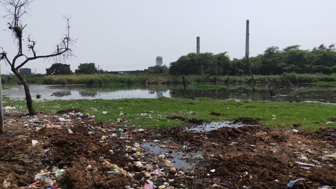Sanitation team took photos of dirty toilets, heaps of dirt, dirty water filled in ponds