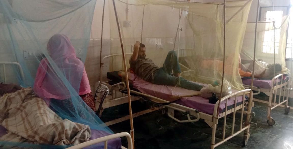 Dengue spreading rapidly, so far 240 patients have been found in the district, two suspects have died