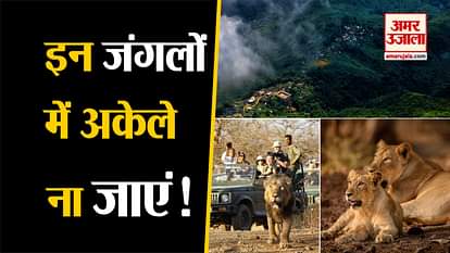 know about 5 most dangerous forests in india sunderban corbett national park gir forest