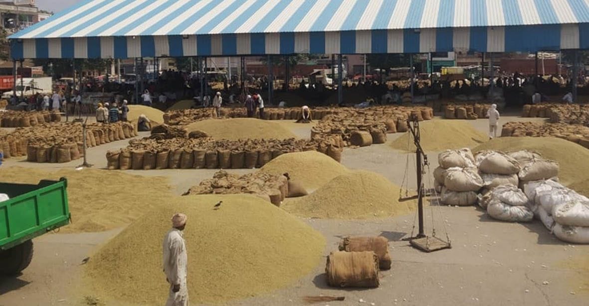 120 traders got the crop registered in a fake manner, different yields found in the fields during physical verification
