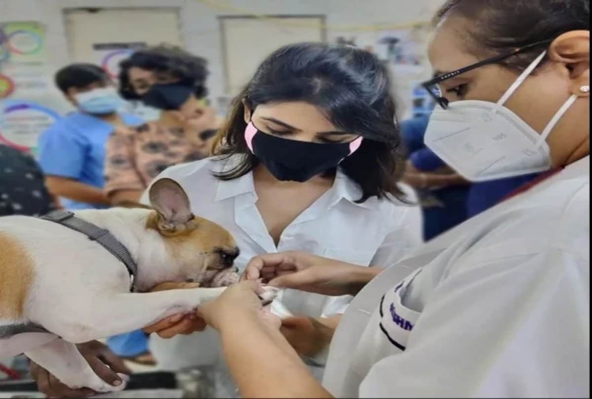 Filmy Wrap: Aryans five days in jail and Nora-Jacqueline summoned read 10 big entertainment news