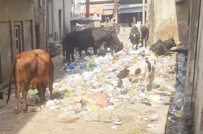 People started falling ill in stone market due to dirt
