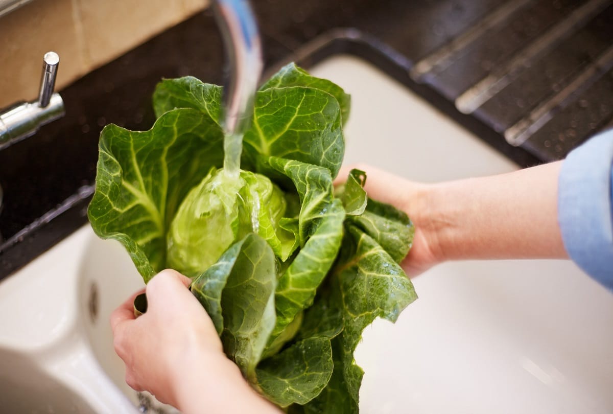 worm in cabbage that affects brain know patta gobhi khane ke fayde aur nuksan