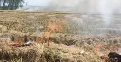 Farmers set the stubble on fire in many villages, the officers who came to stop were angry at the protest