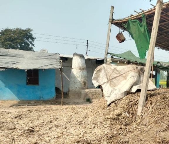 Less recovery coming, sugarcane commissioner closed the crushers