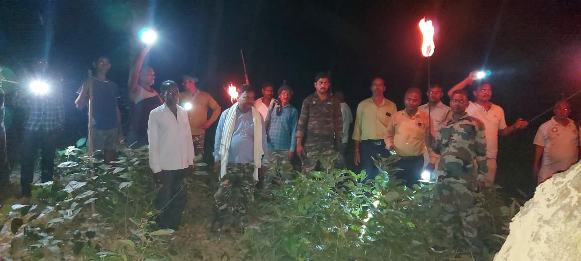 jangal